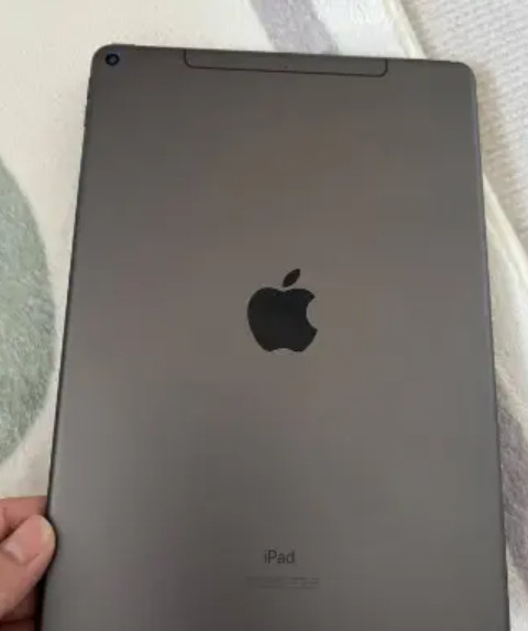 iPad，插卡版本。可以用手机卡